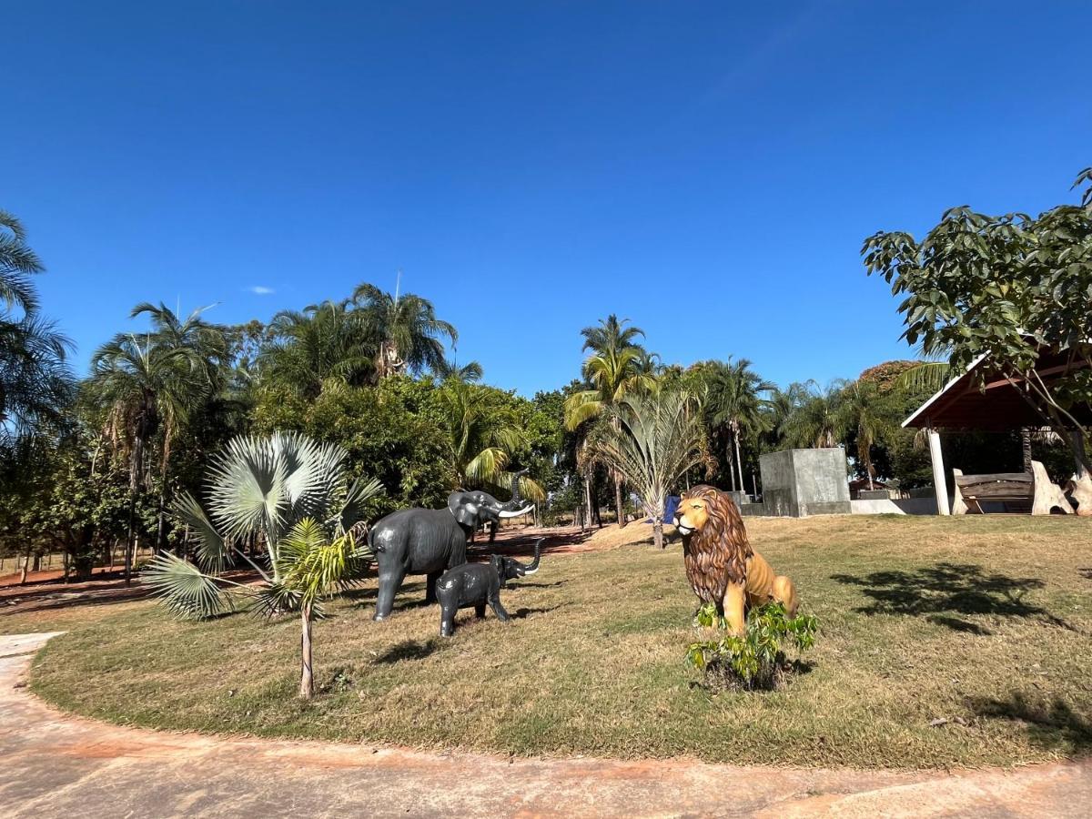 Fazenda Flamarion Lagoa Santa (Goias)
