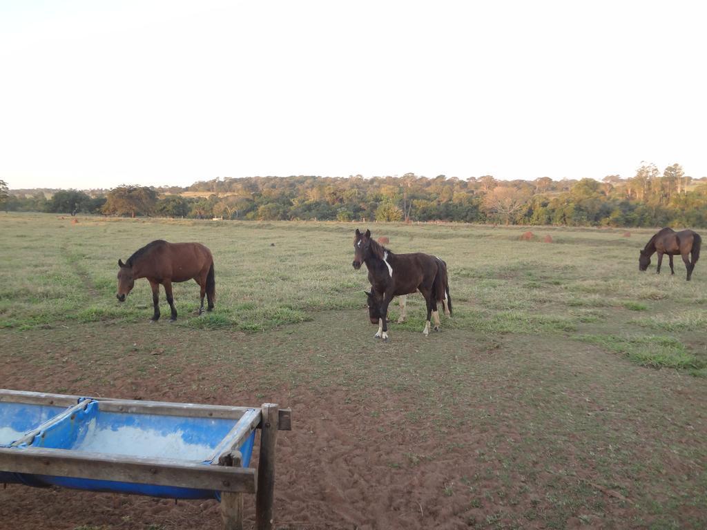 Fazenda Flamarion * Lagoa Santa (Goias)